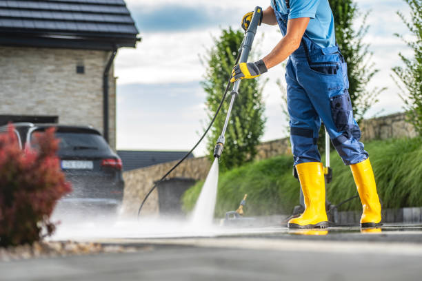 Best Driveway Pressure Washing  in Burton, SC